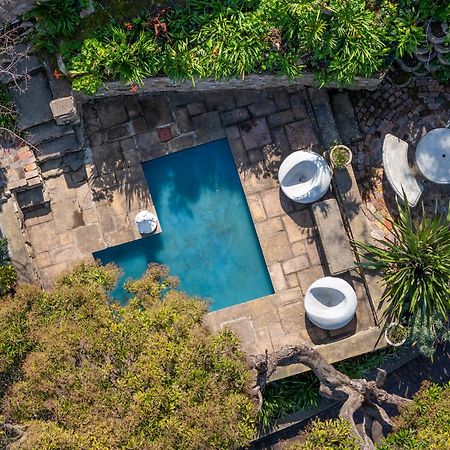 Phoenix Lodge And Waterside Accommodation Knysna Dış mekan fotoğraf